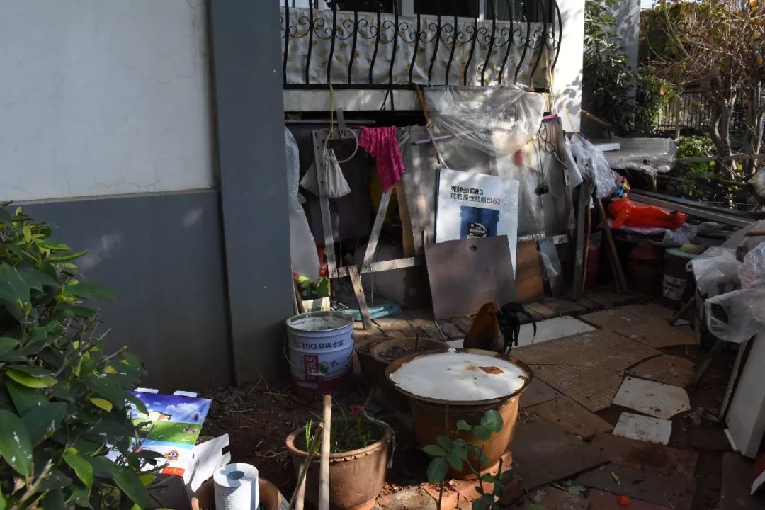 瘟情下的隐秘小巷奇遇，特色小店独特魅力揭秘