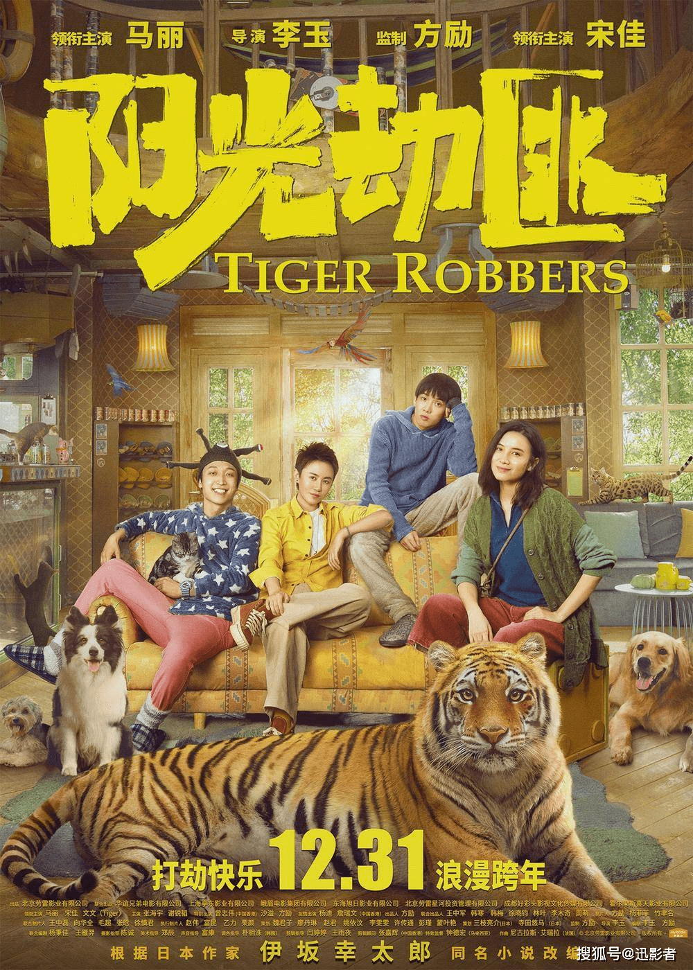 陇西，病毒奇遇下的温馨之旅揭秘
