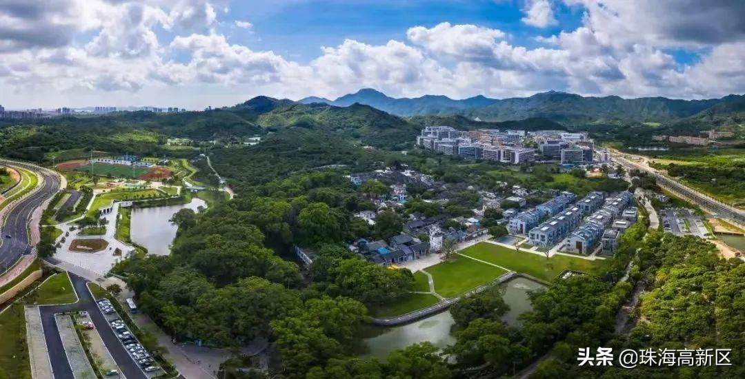 珠海代耕农最新动态及其影响解析，一种观点的视角
