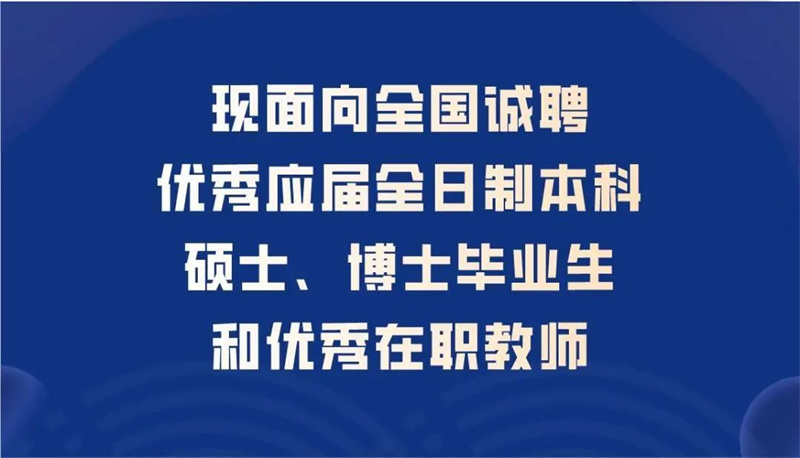 南充最新招聘信息概览与观点论述