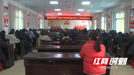祁阳黎家坪发展步伐聚焦，最新新闻一览
