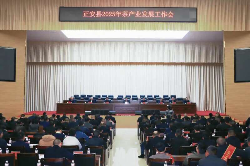 正安县最新人事任命引领科技革新，开启智能新时代新篇章